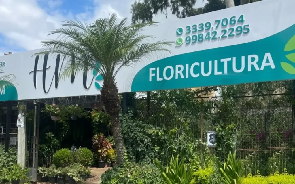 Fachada da HM Floricultura, com a palmeira e as plantas na entrada
